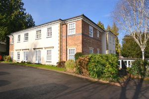 Photo 1- click for photo gallery